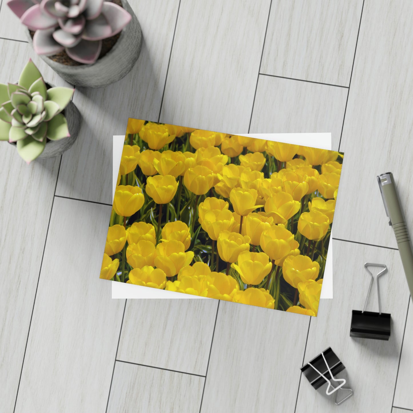 Flowers 24 Greeting Card Bundles (envelopes not included)