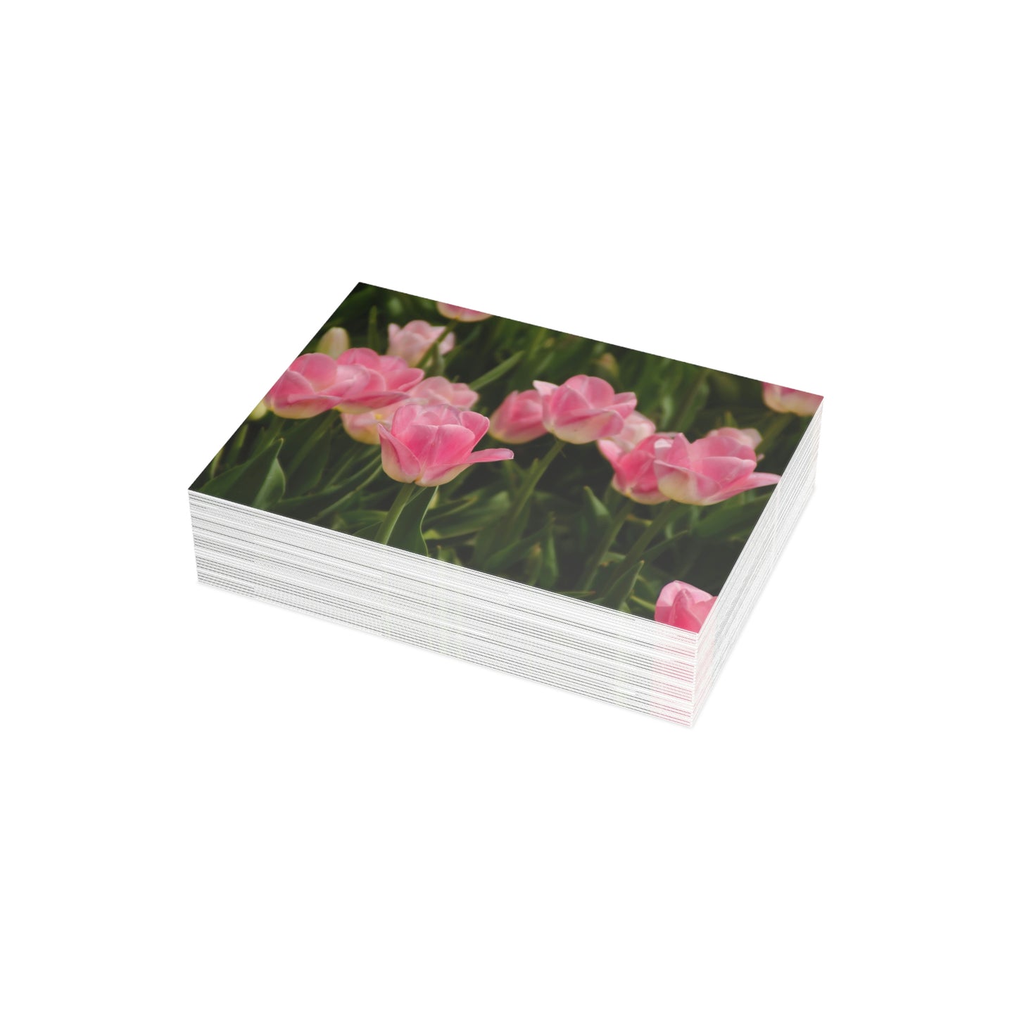 Flowers 17 Greeting Card Bundles (envelopes not included)