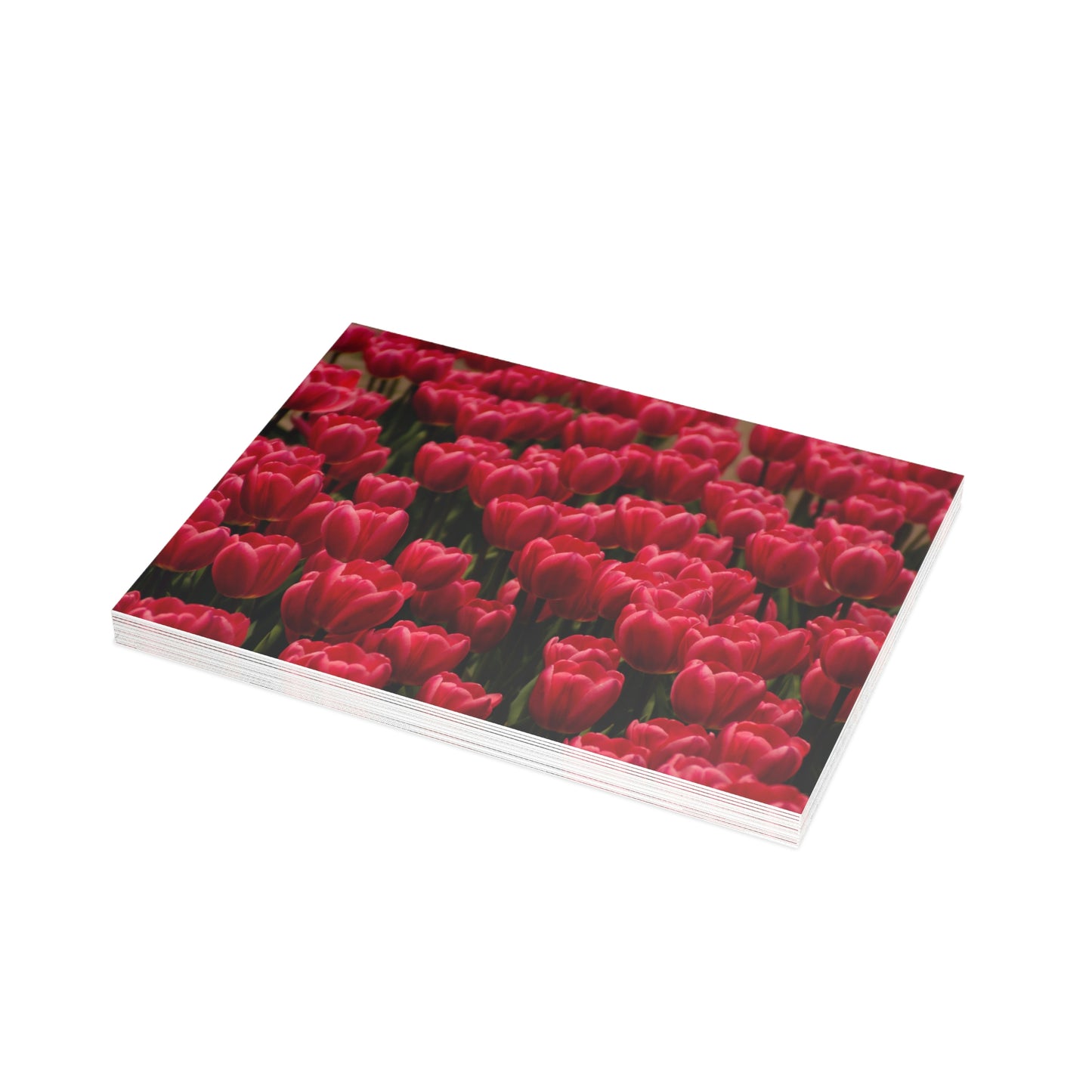 Flowers 15 Greeting Card Bundles (envelopes not included)