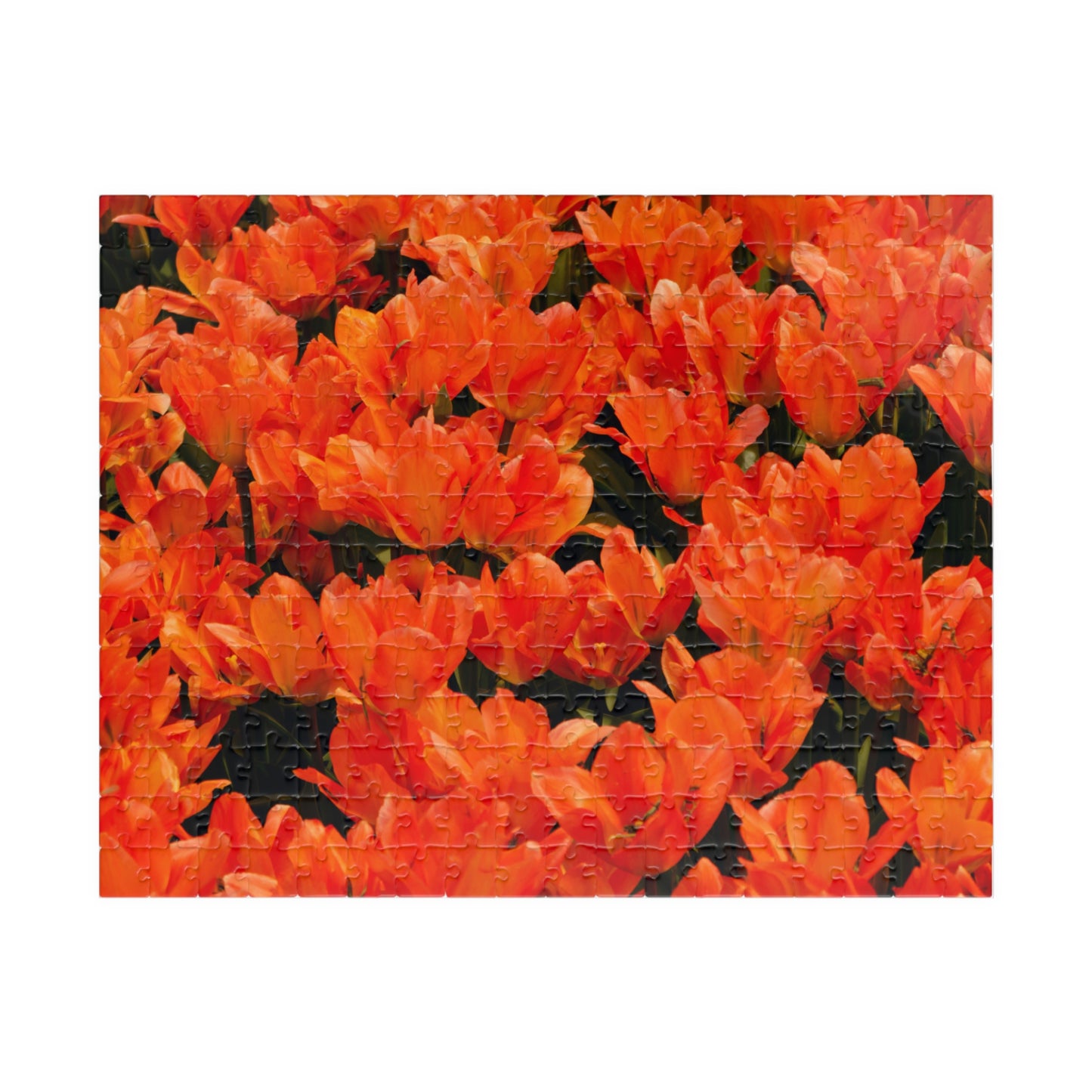 Flowers 03 Puzzle (110, 252, 500, 1014-piece)