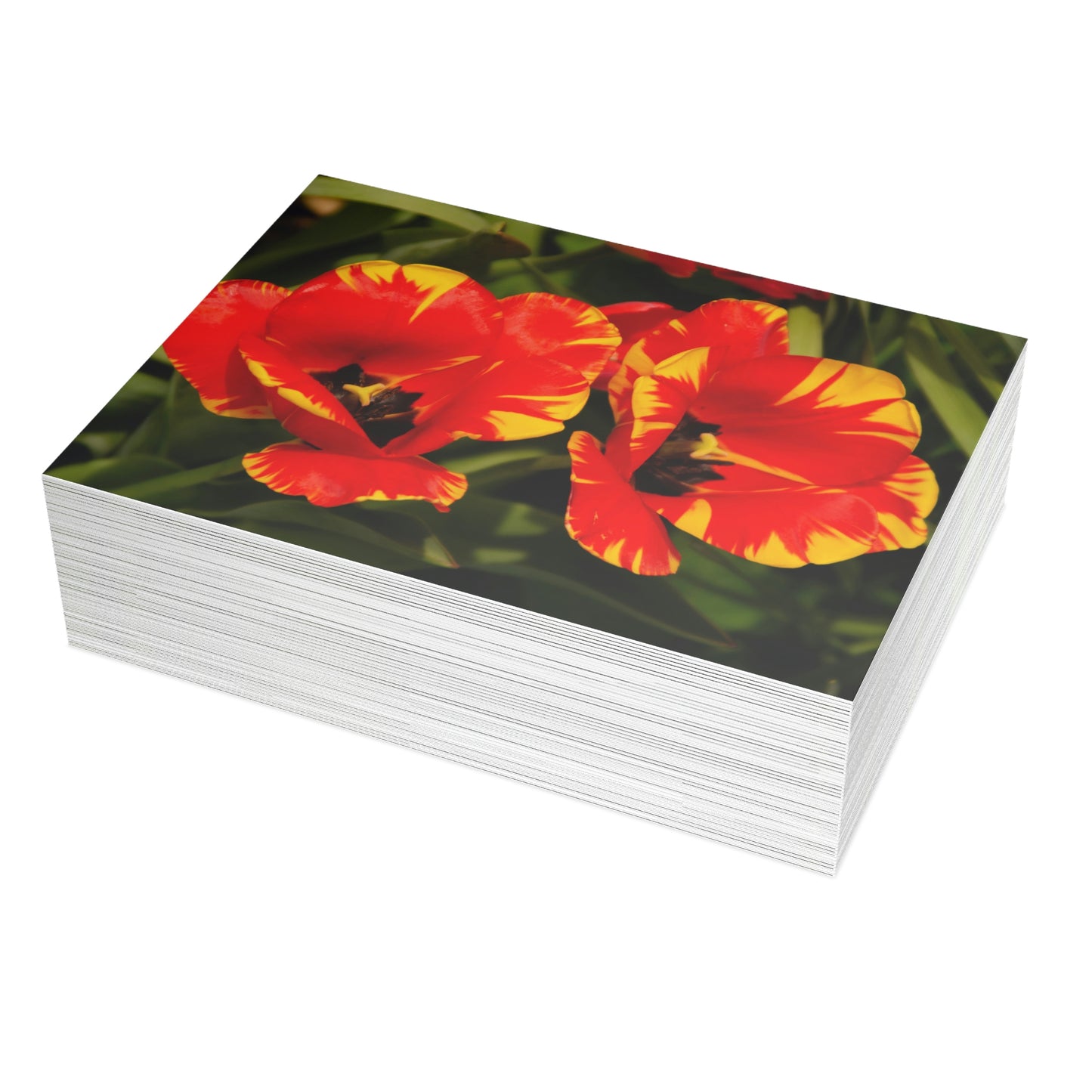 Flowers 12 Greeting Card Bundles (envelopes not included)