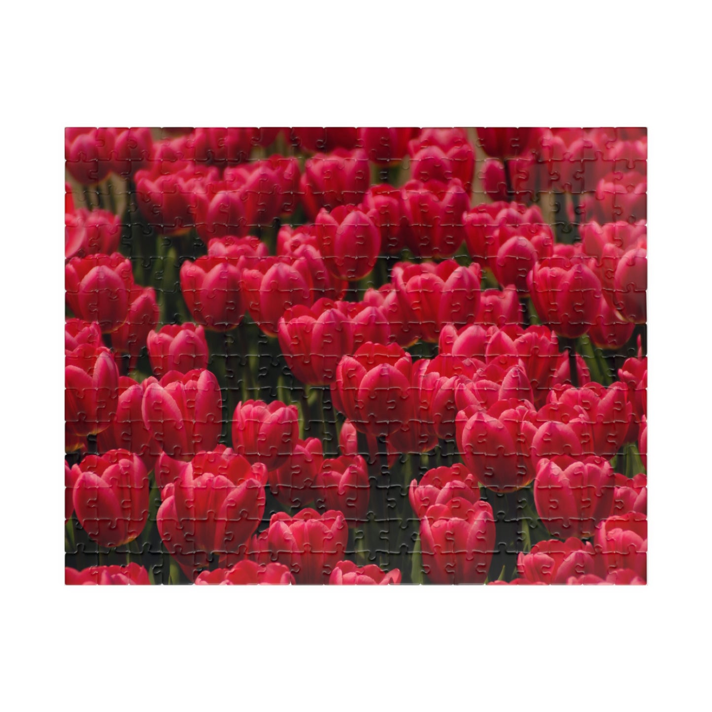 Flowers 15 Puzzle (110, 252, 500, 1014-piece)