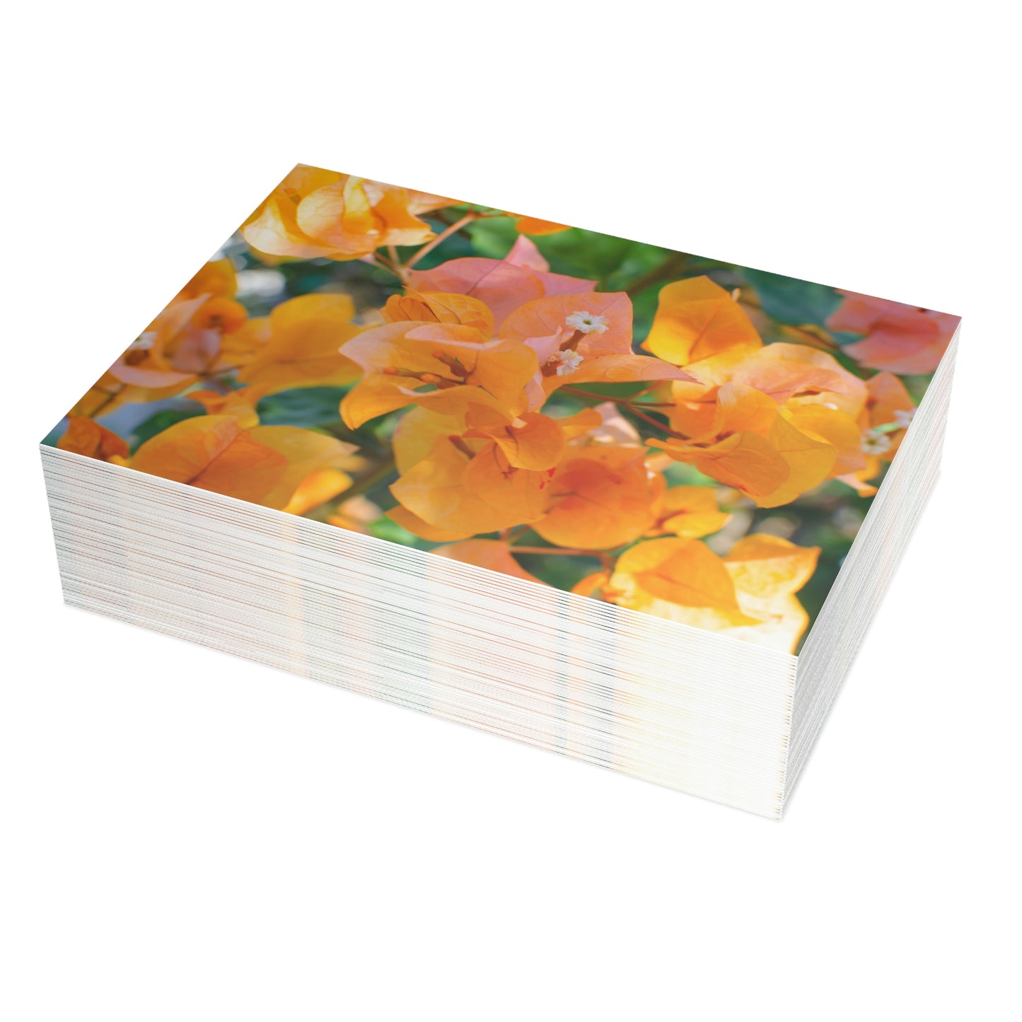 Flowers 29 Greeting Card Bundles (envelopes not included)