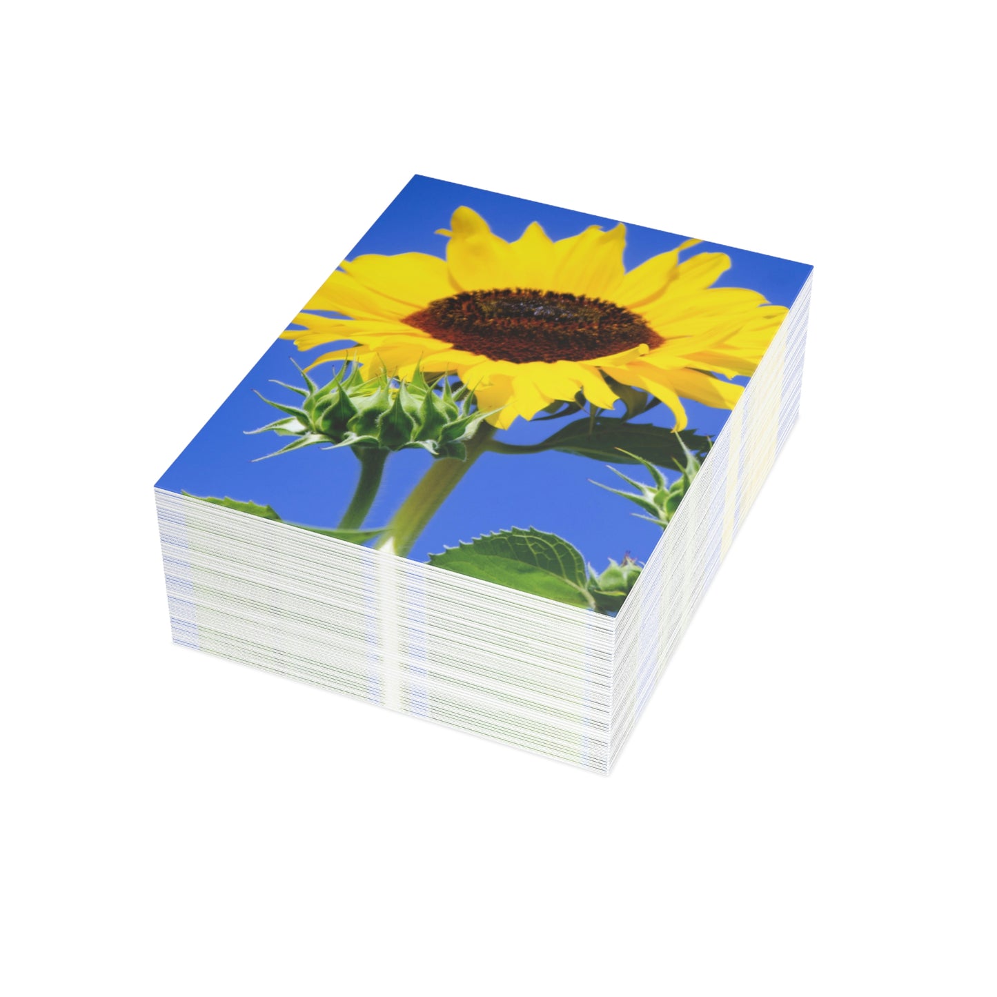 Flowers 02 Greeting Cards (1, 10, 30, and 50pcs)