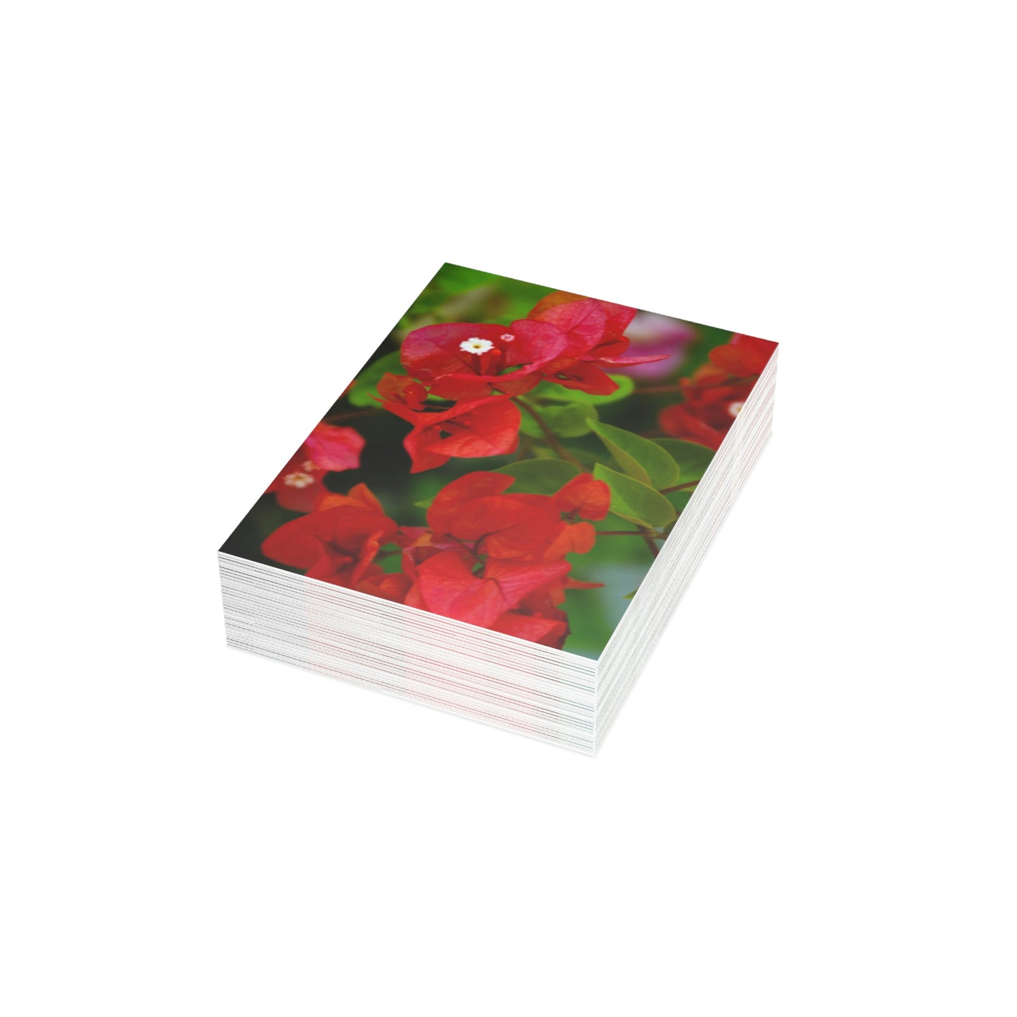 Flowers 27 Greeting Card Bundles (envelopes not included)