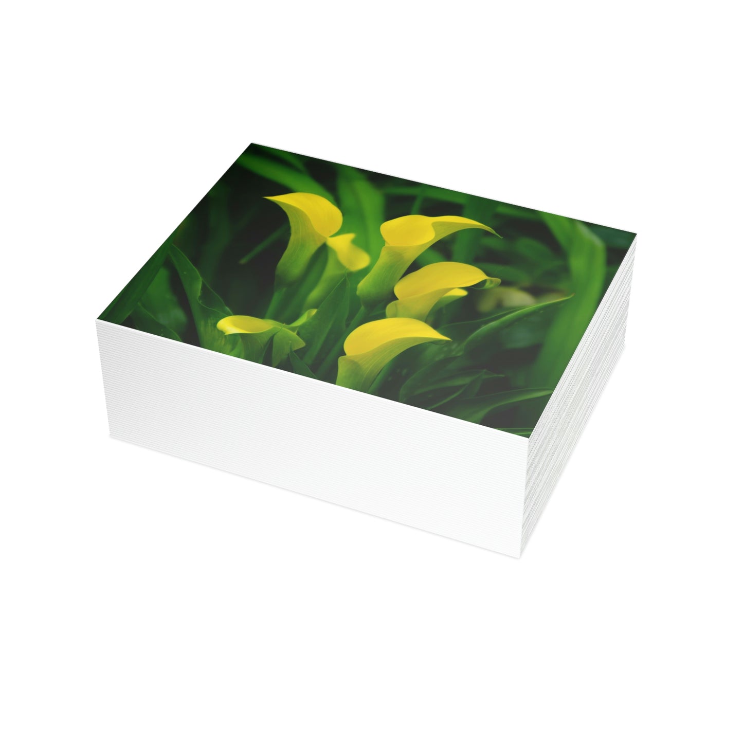 Flowers 33 Greeting Card Bundles (envelopes not included)