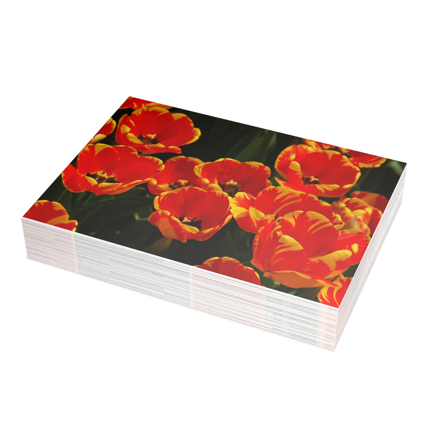 Flowers 20 Greeting Card Bundles (envelopes not included)