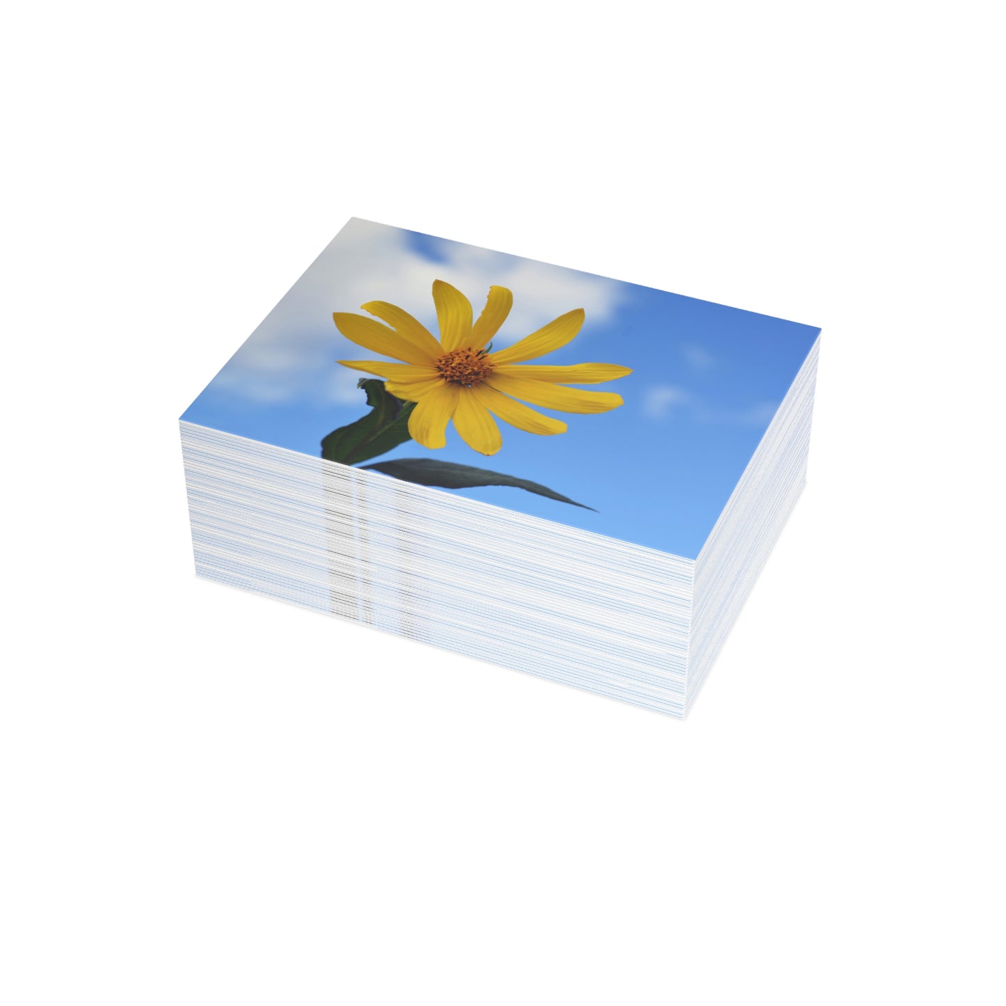 Flowers 32 Greeting Card Bundles (envelopes not included)