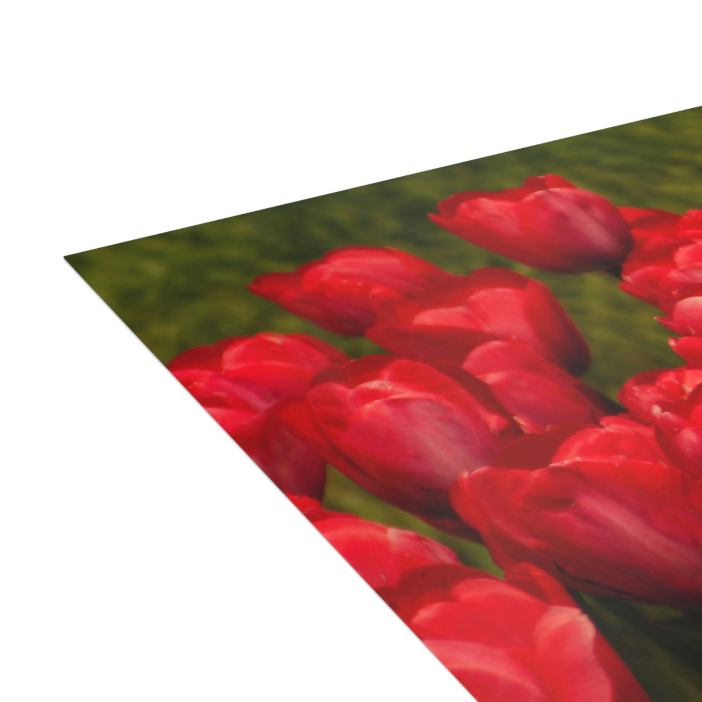 Flowers 22 Greeting Cards (1, 10, 30, and 50pcs)
