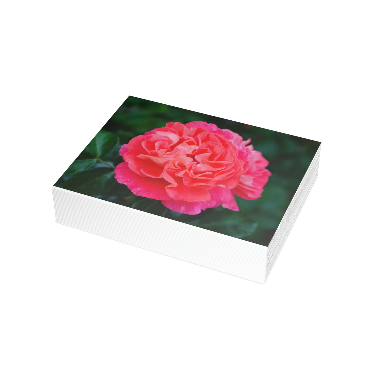 Flowers 08 Greeting Card Bundles (envelopes not included)