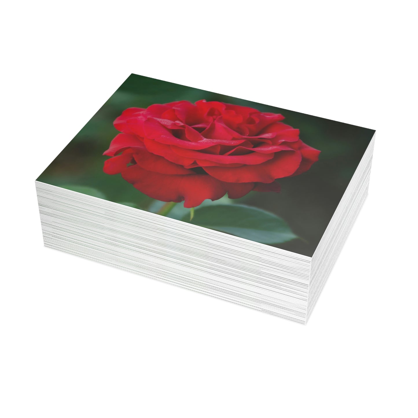 Flowers 14 Greeting Card Bundles (envelopes not included)