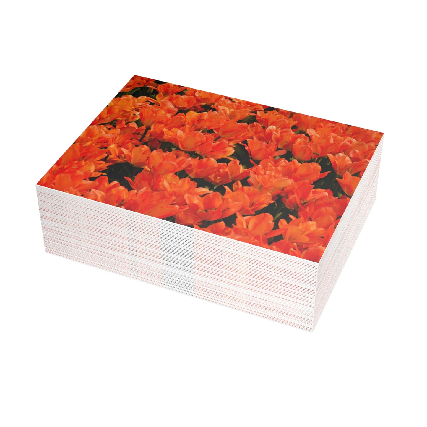 Flowers 02 Greeting Card Bundles (envelopes not included)