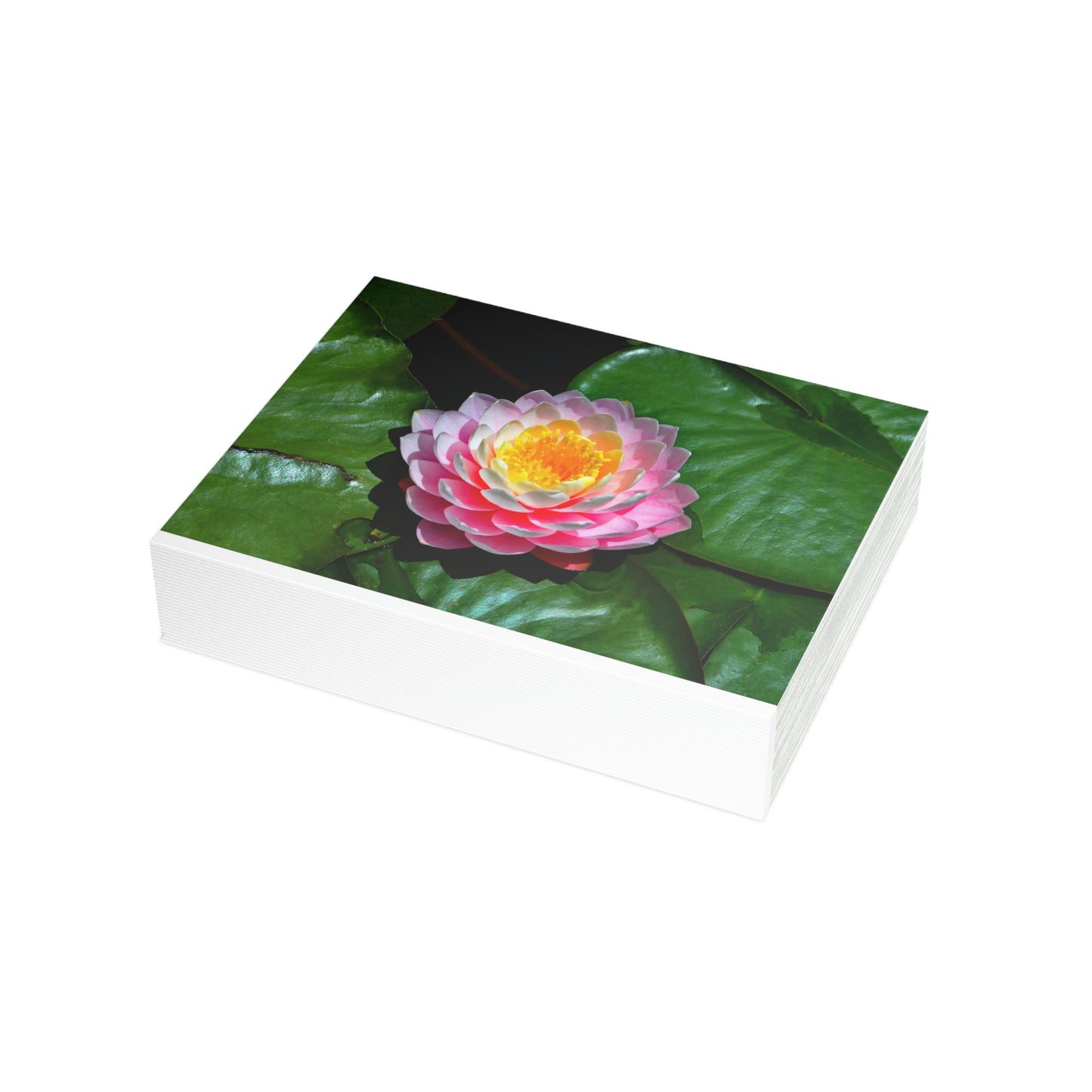 Flowers 25 Greeting Card Bundles (envelopes not included)