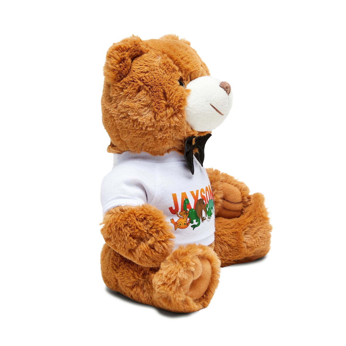 Jaxson Teddy Bear with T-Shirt