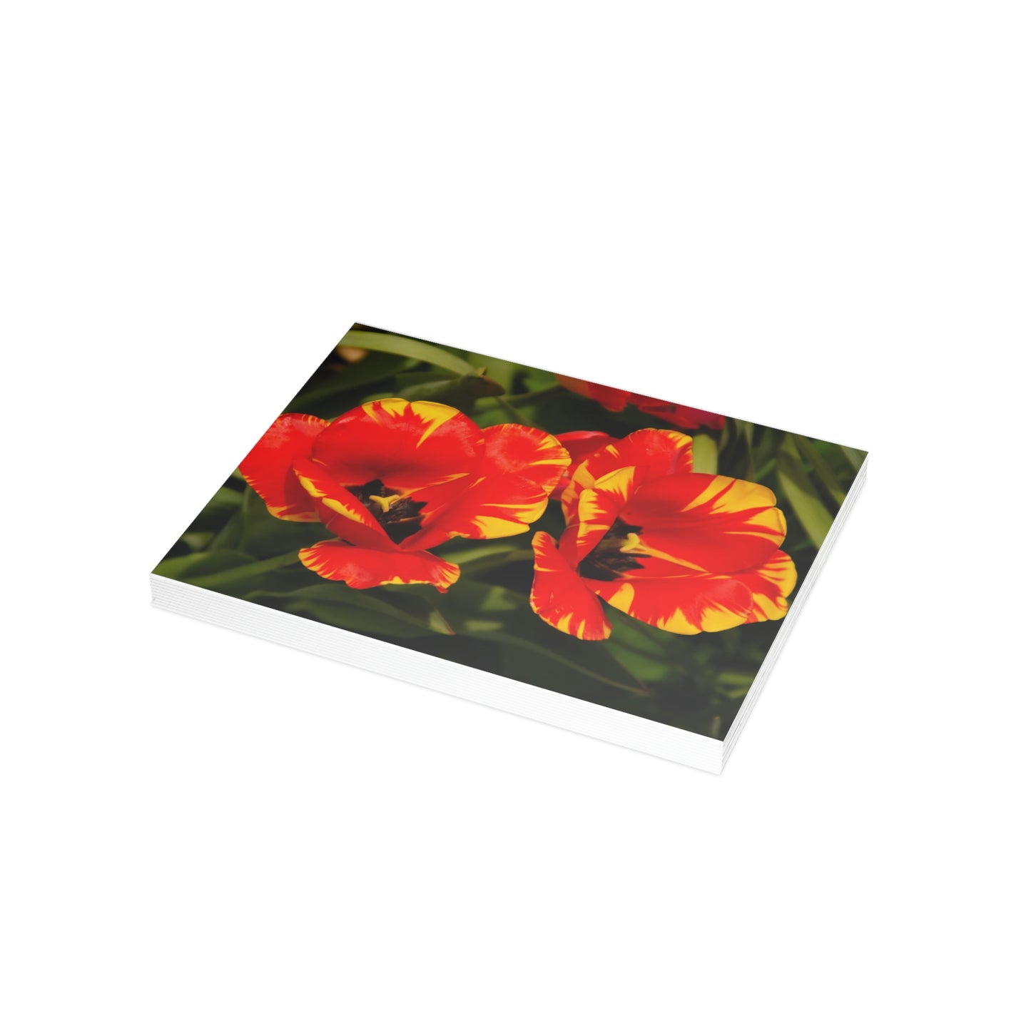 Flowers 12 Greeting Card Bundles (envelopes not included)