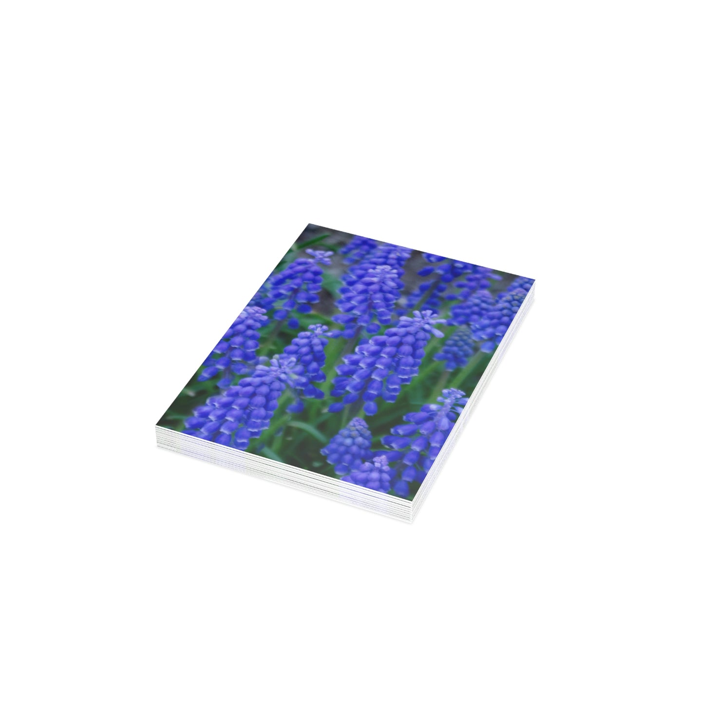 Flowers 10 Greeting Cards (1, 10, 30, and 50pcs)