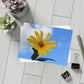 Flowers 32 Greeting Card Bundles (envelopes not included)