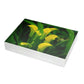 Flowers 33 Greeting Card Bundles (envelopes not included)