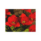 Flowers 05 Greeting Card Bundles (envelopes not included)