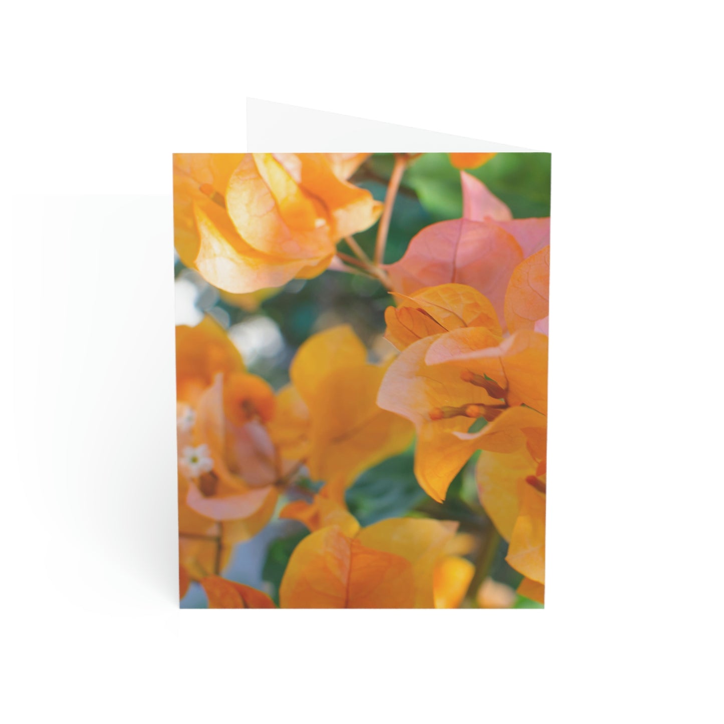 Flowers 29 Greeting Cards (1, 10, 30, and 50pcs)