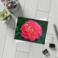 Flowers 08 Greeting Card Bundles (envelopes not included)