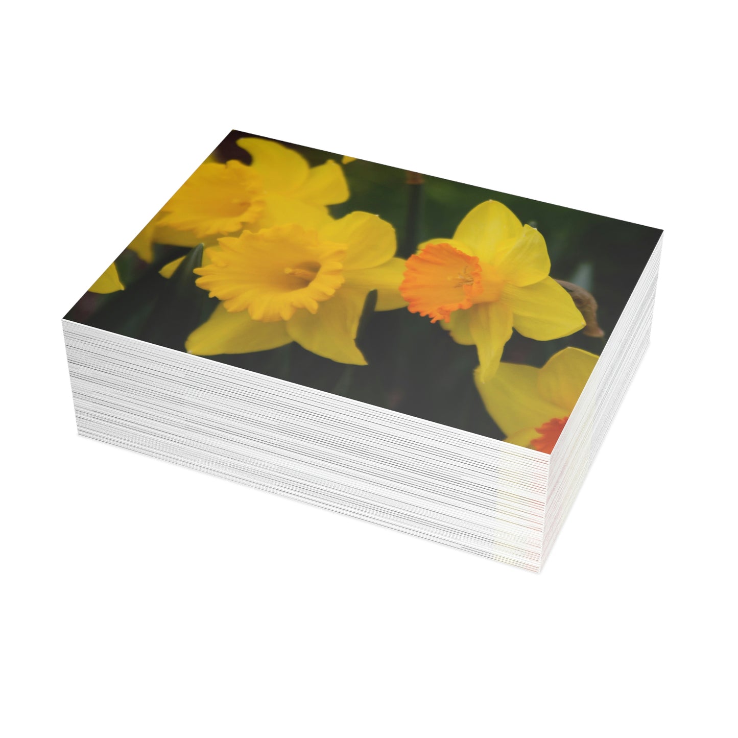 Flowers 10 Greeting Card Bundles (envelopes not included)