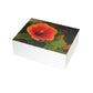 Flowers 31 Greeting Card Bundles (envelopes not included)