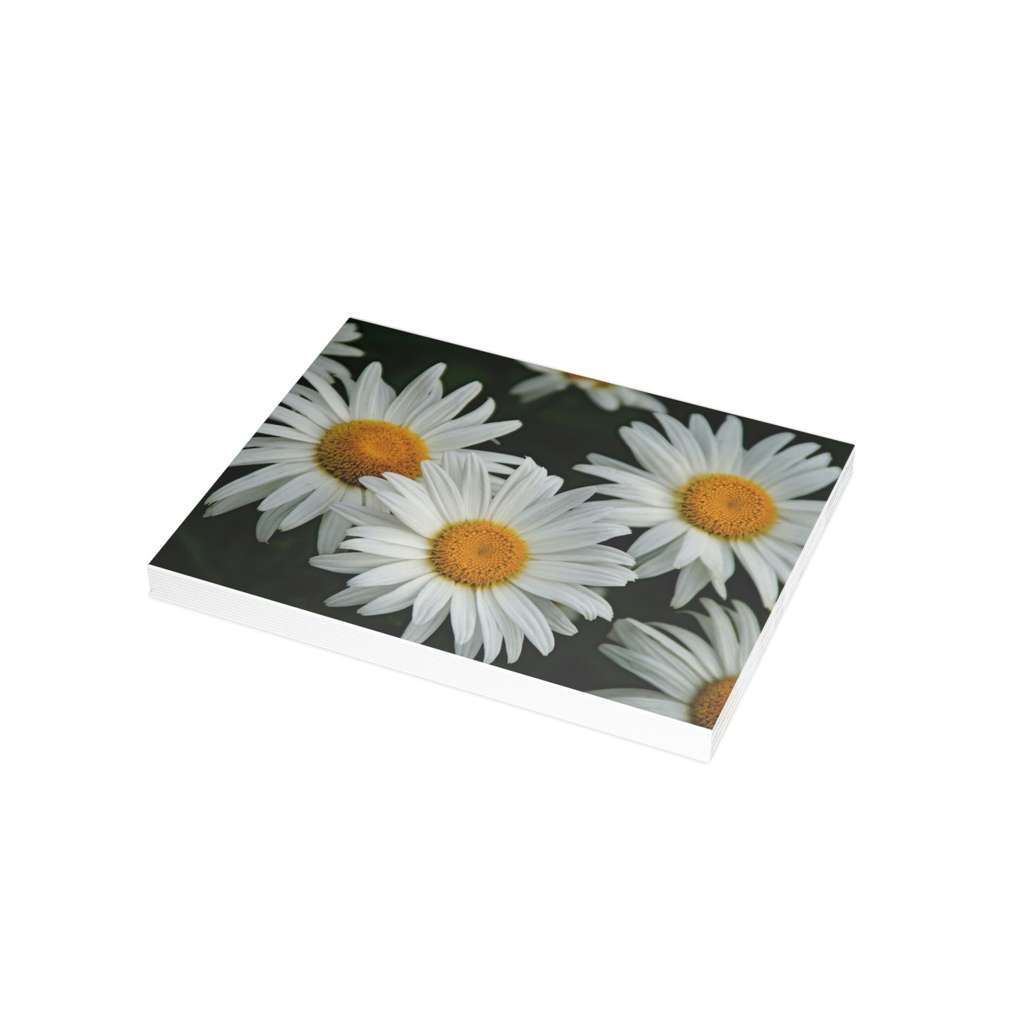 Flowers 07 Greeting Card Bundles (envelopes not included)