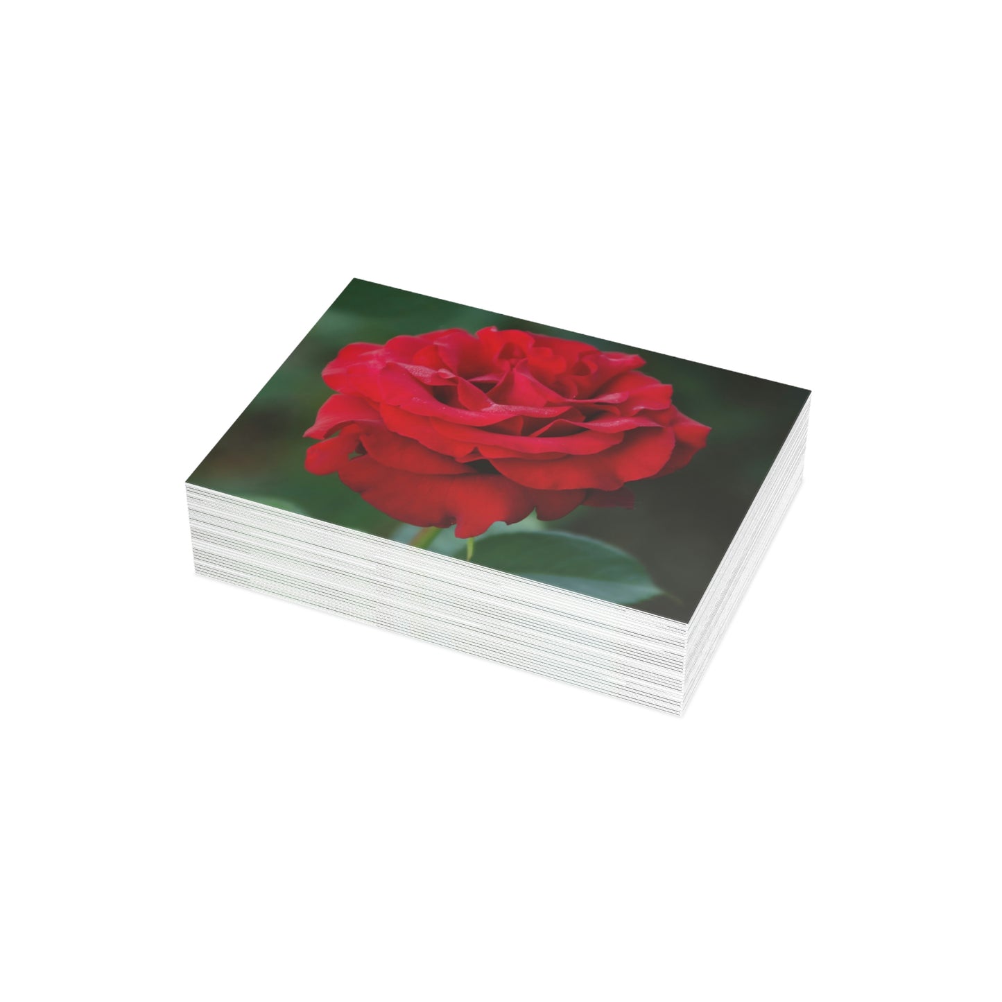 Flowers 14 Greeting Card Bundles (envelopes not included)