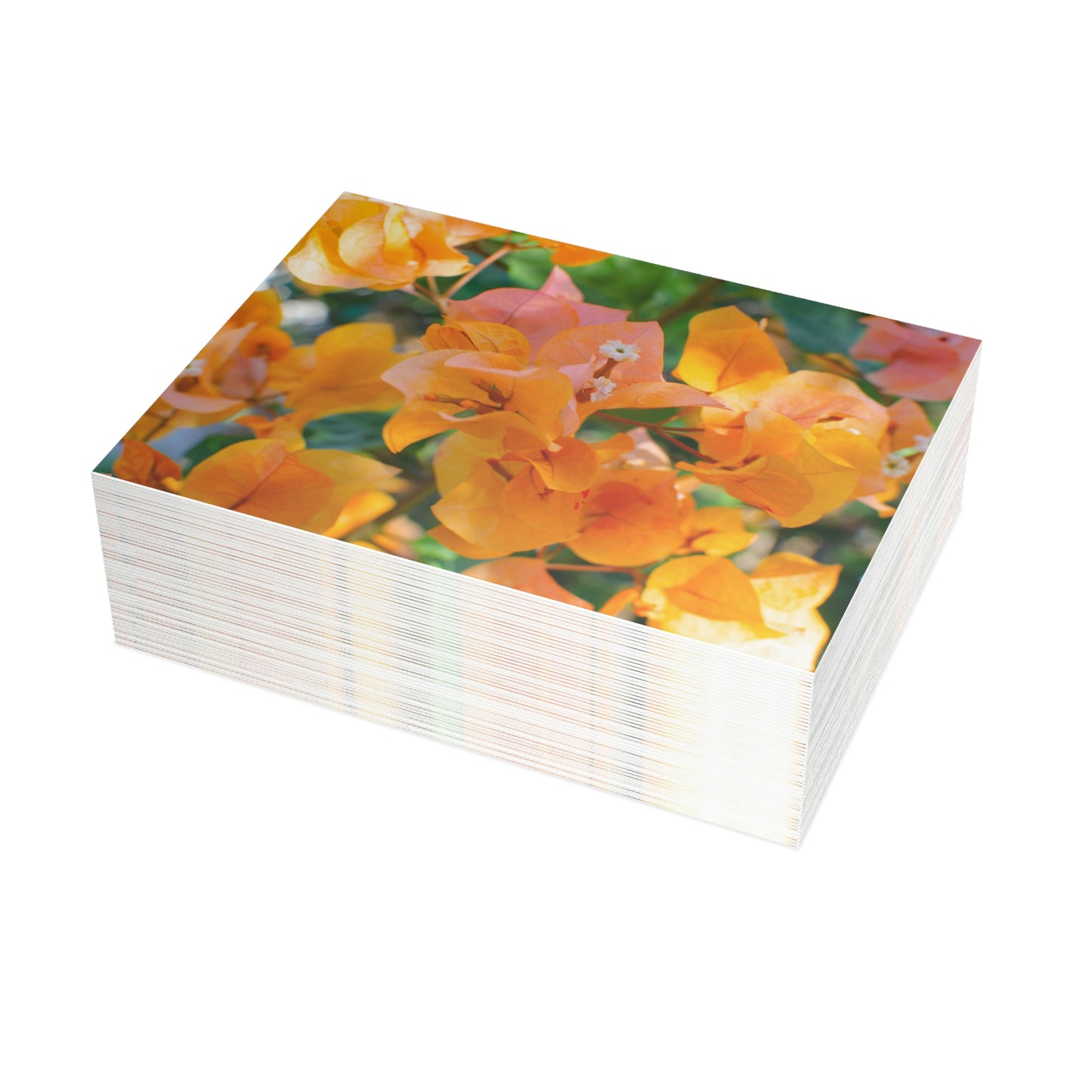 Flowers 29 Greeting Card Bundles (envelopes not included)