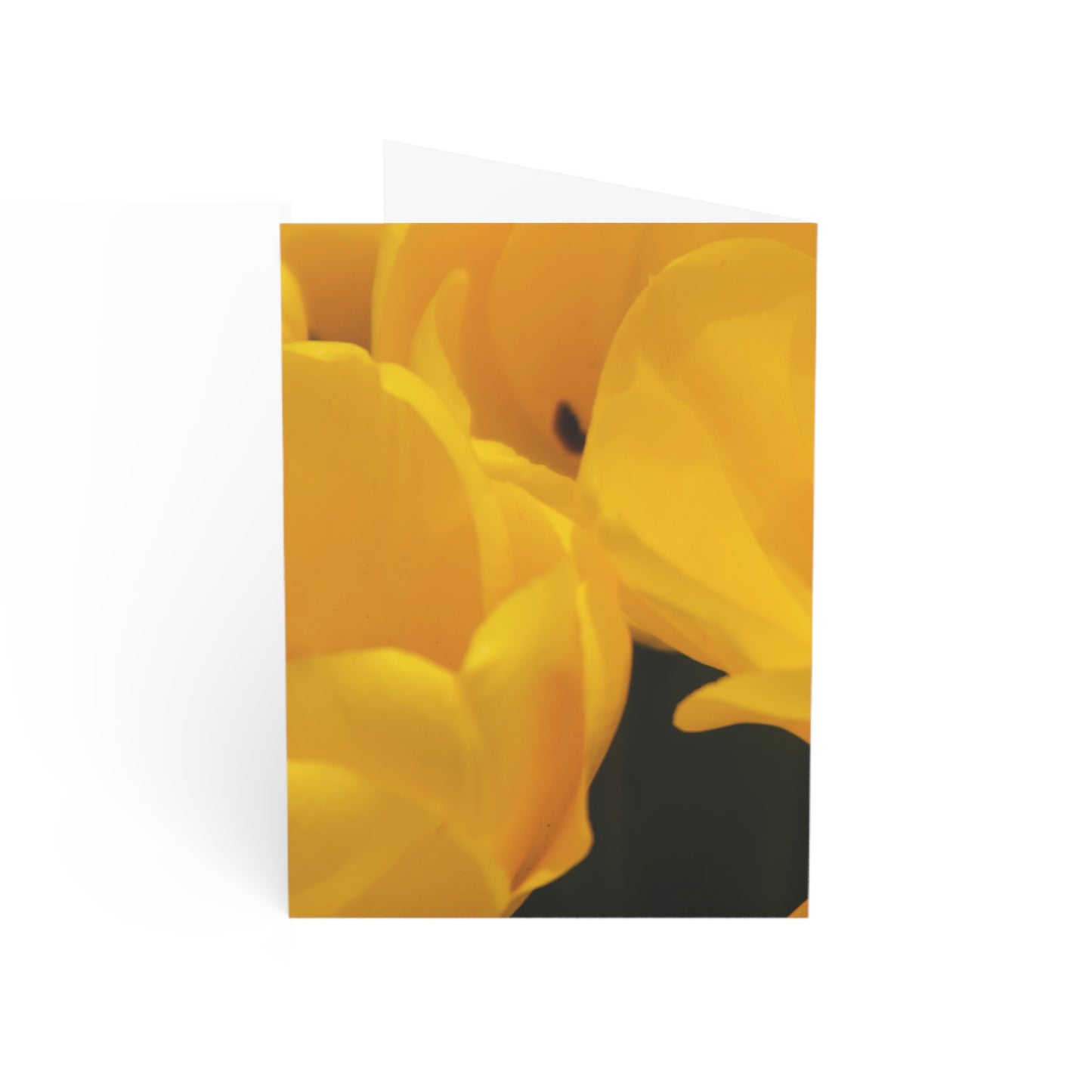 Flowers 14 Greeting Cards (1, 10, 30, and 50pcs)