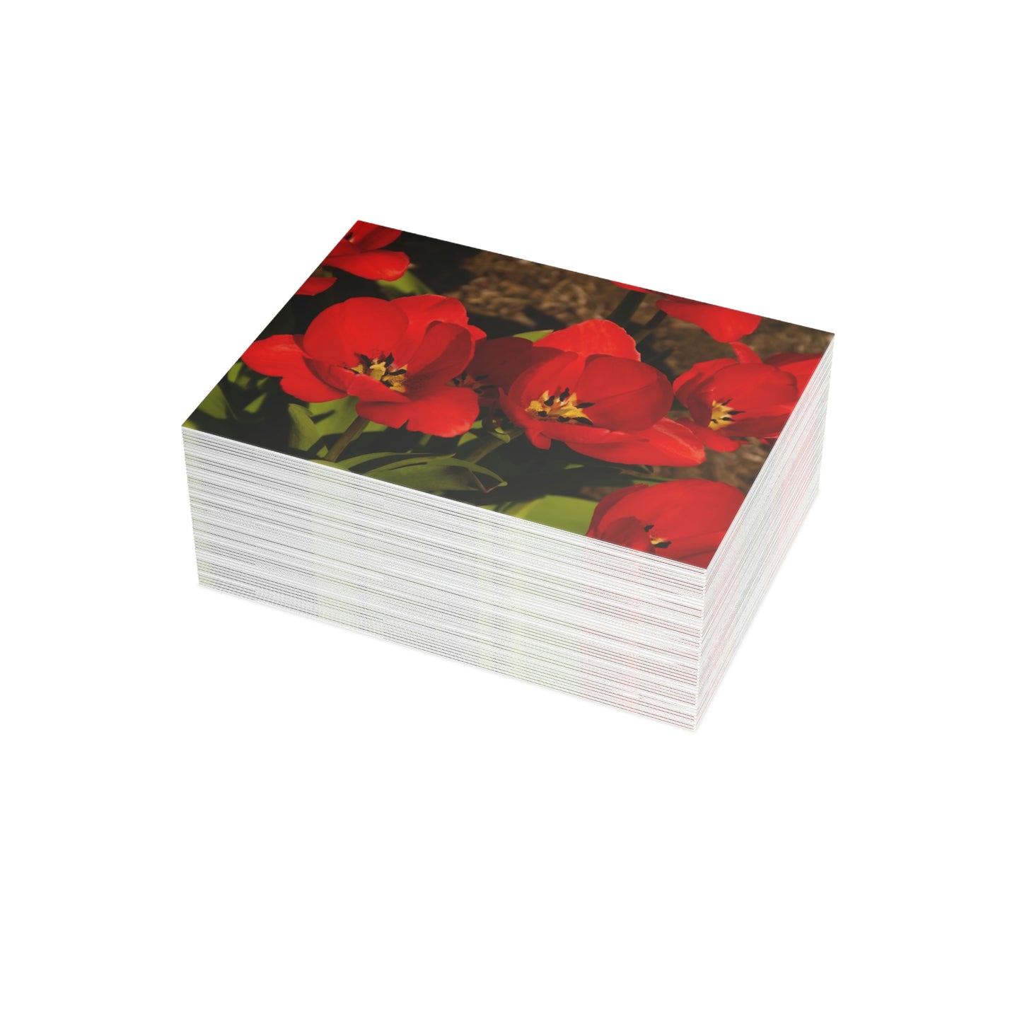 Flowers 05 Greeting Card Bundles (envelopes not included)