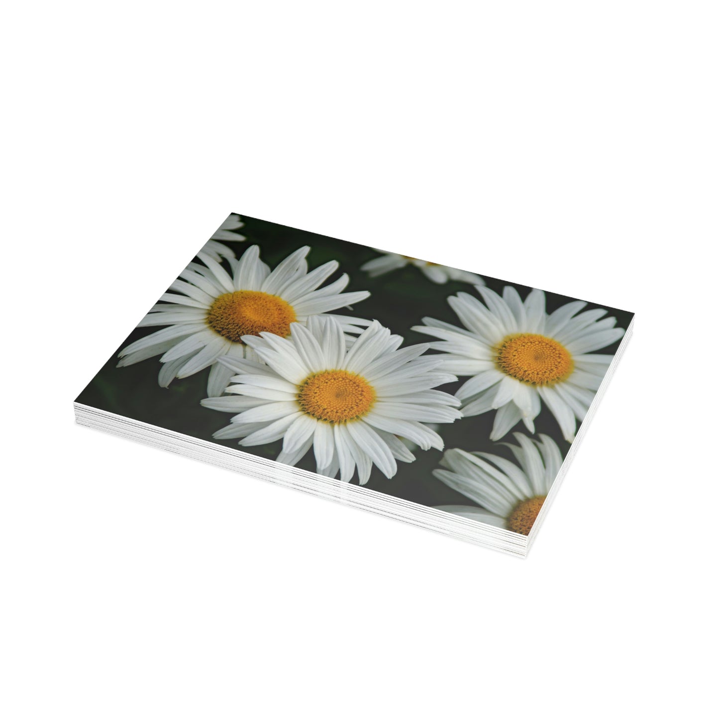 Flowers 07 Greeting Card Bundles (envelopes not included)