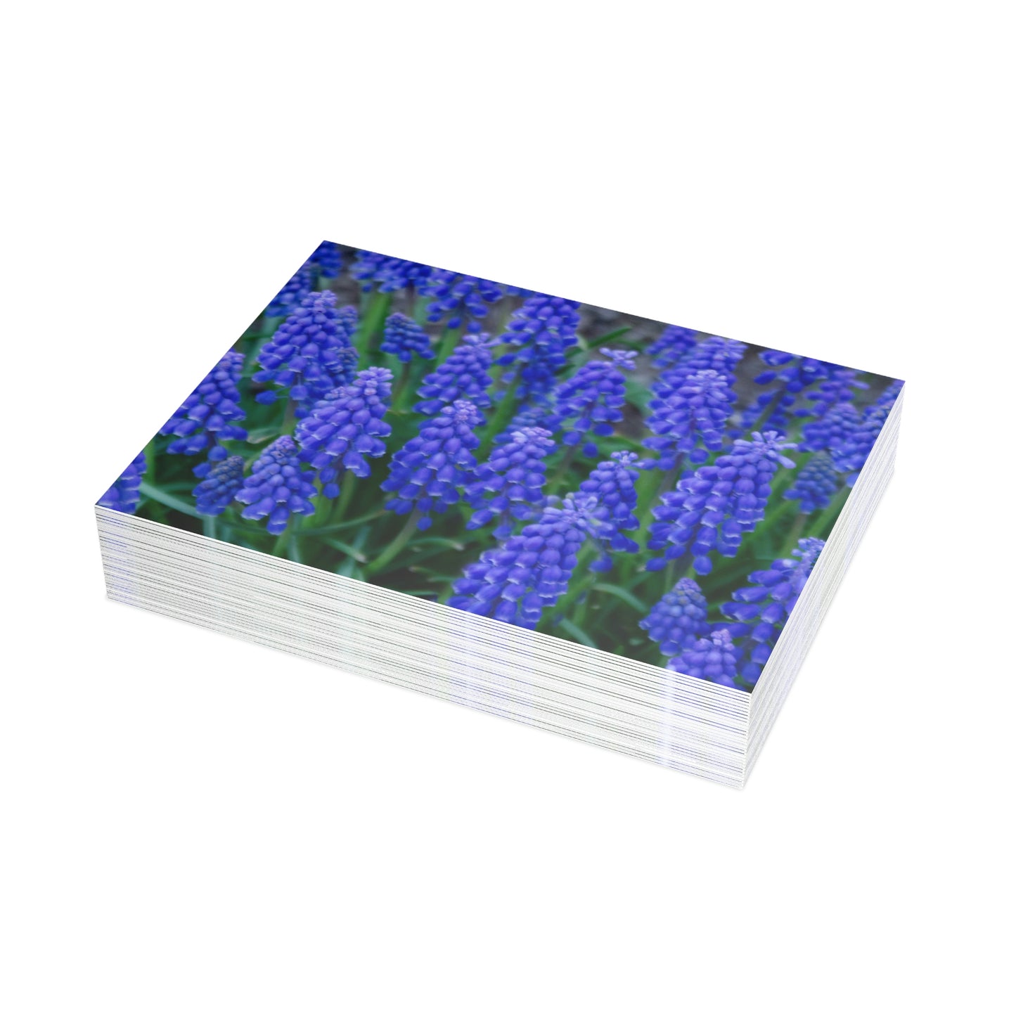 Flowers 11 Greeting Card Bundles (envelopes not included)