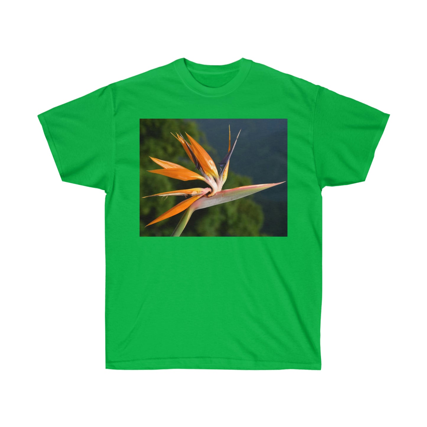 Flowers 26 Unisex Ultra Cotton Tee