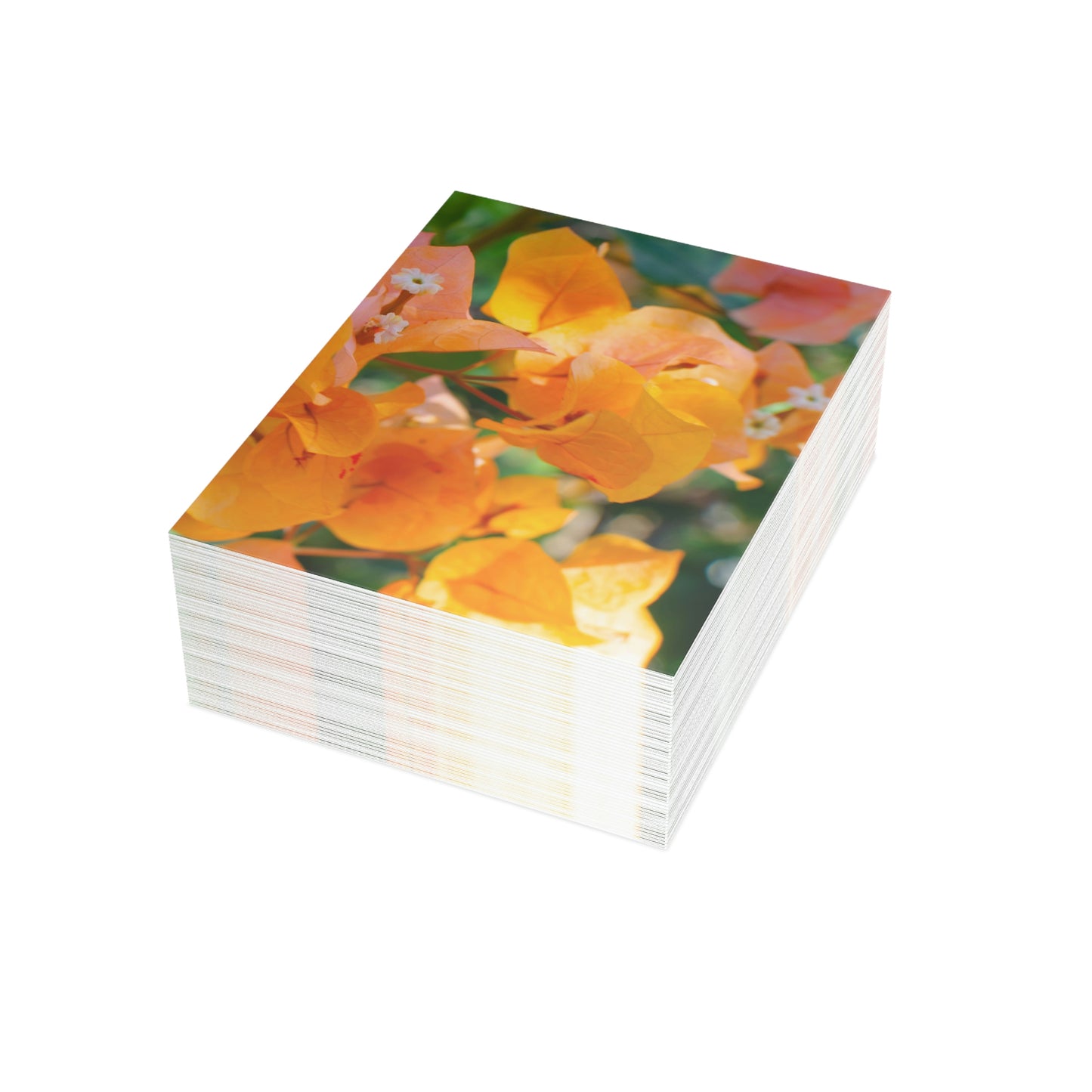 Flowers 29 Greeting Cards (1, 10, 30, and 50pcs)