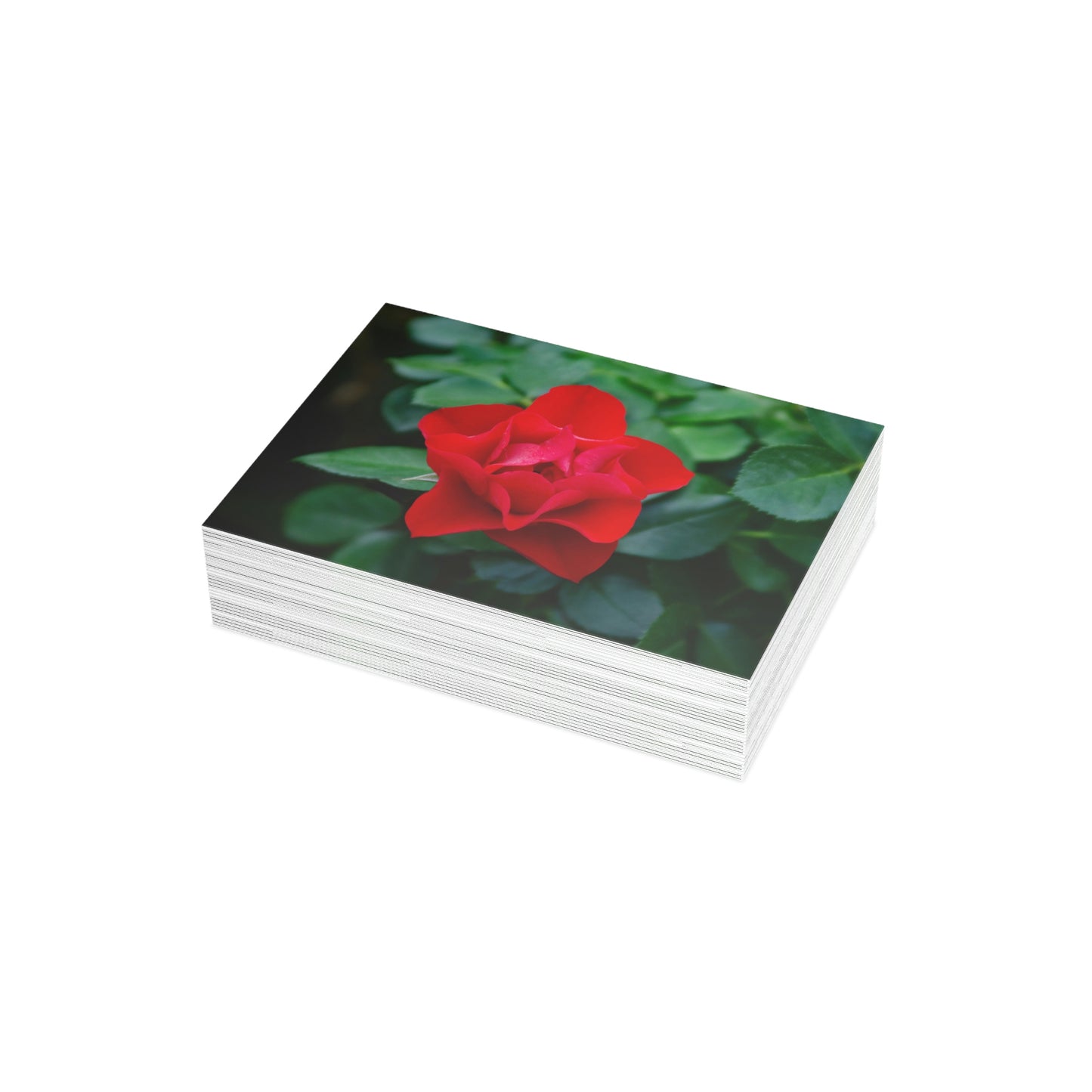 Flowers 06 Greeting Card Bundles (envelopes not included)