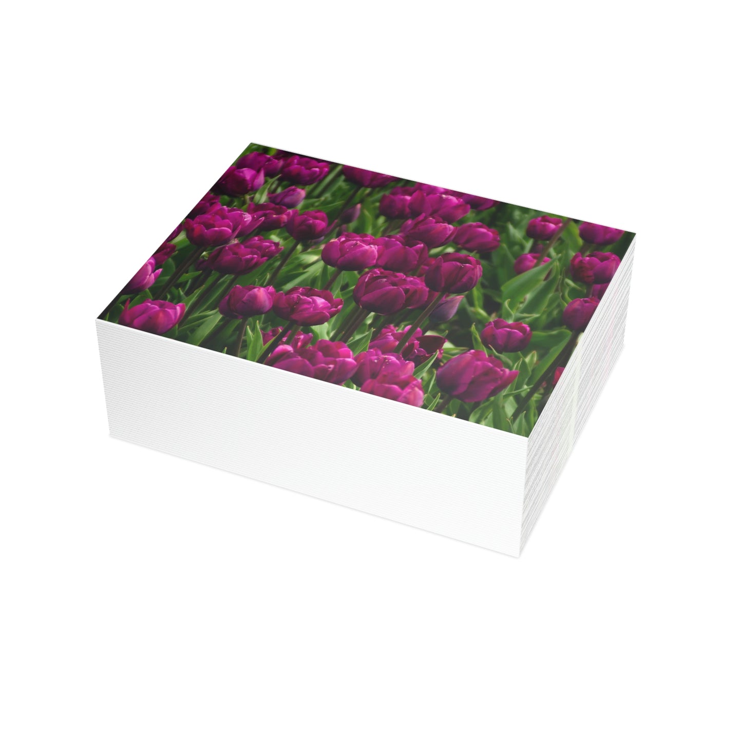 Flowers 18 Greeting Card Bundles (envelopes not included)