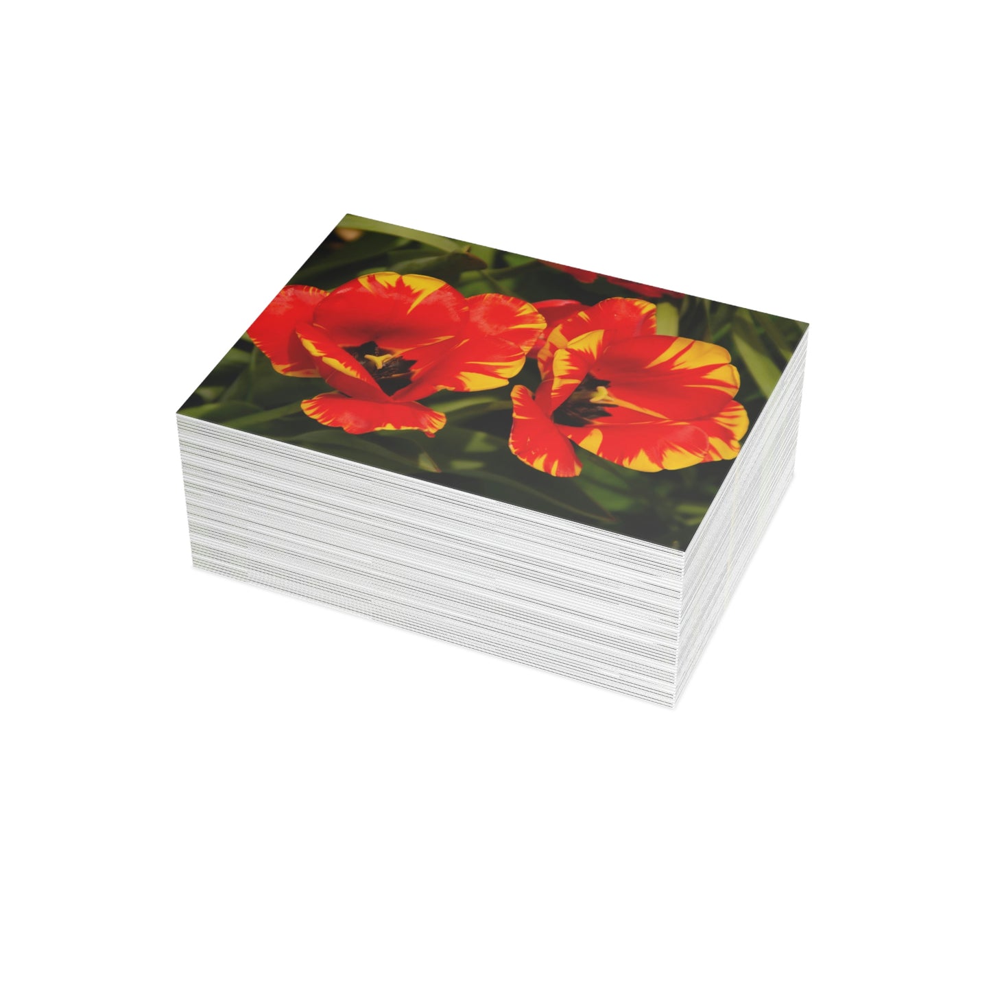 Flowers 12 Greeting Card Bundles (envelopes not included)