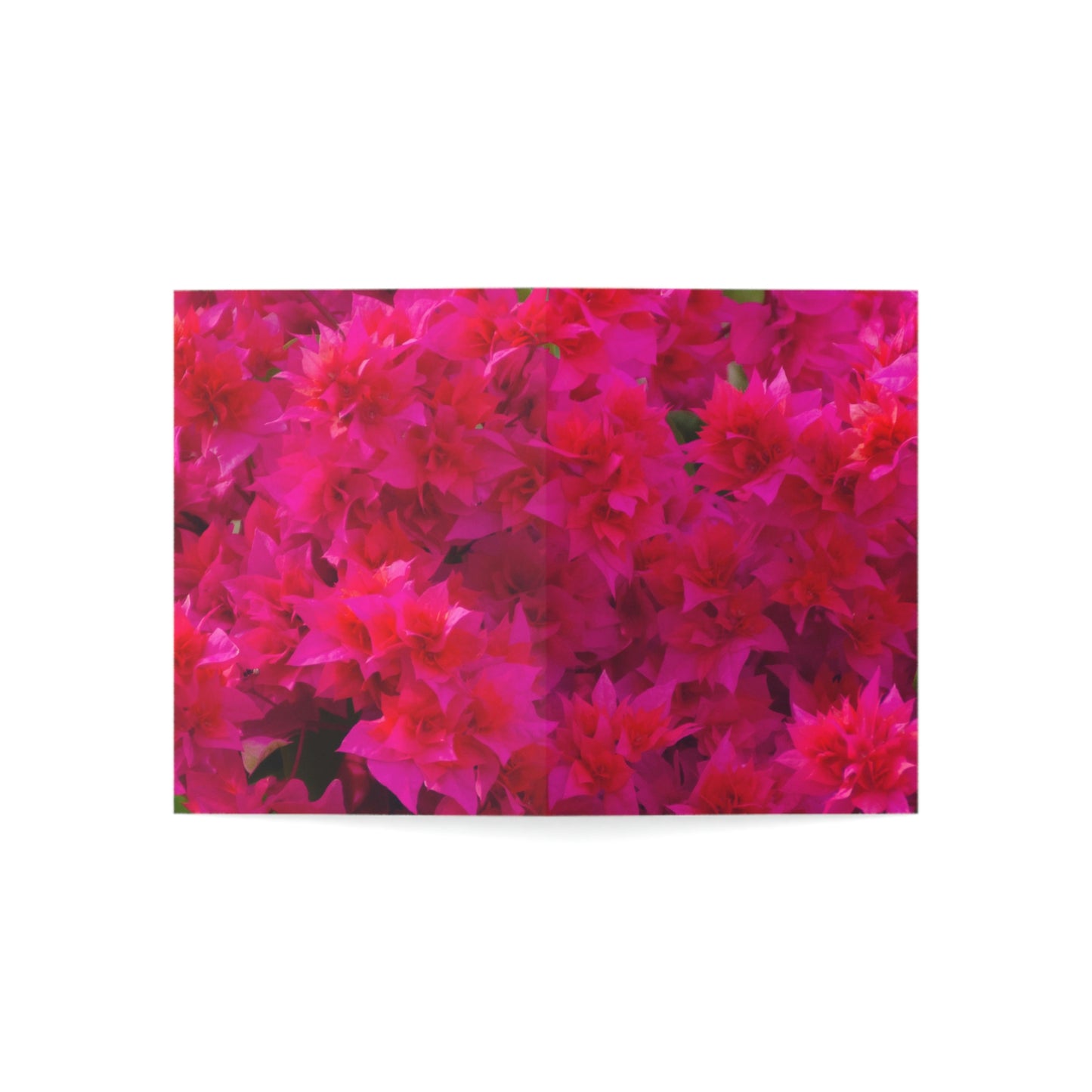 Flowers 27 Greeting Cards (1, 10, 30, and 50pcs)