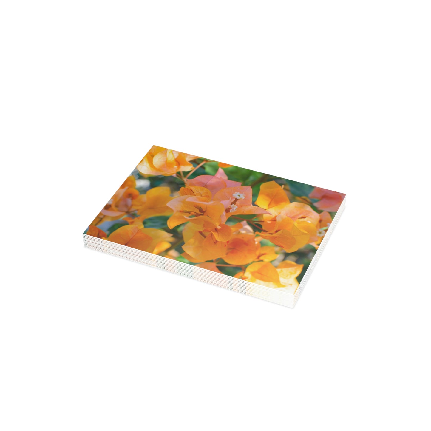 Flowers 29 Greeting Card Bundles (envelopes not included)