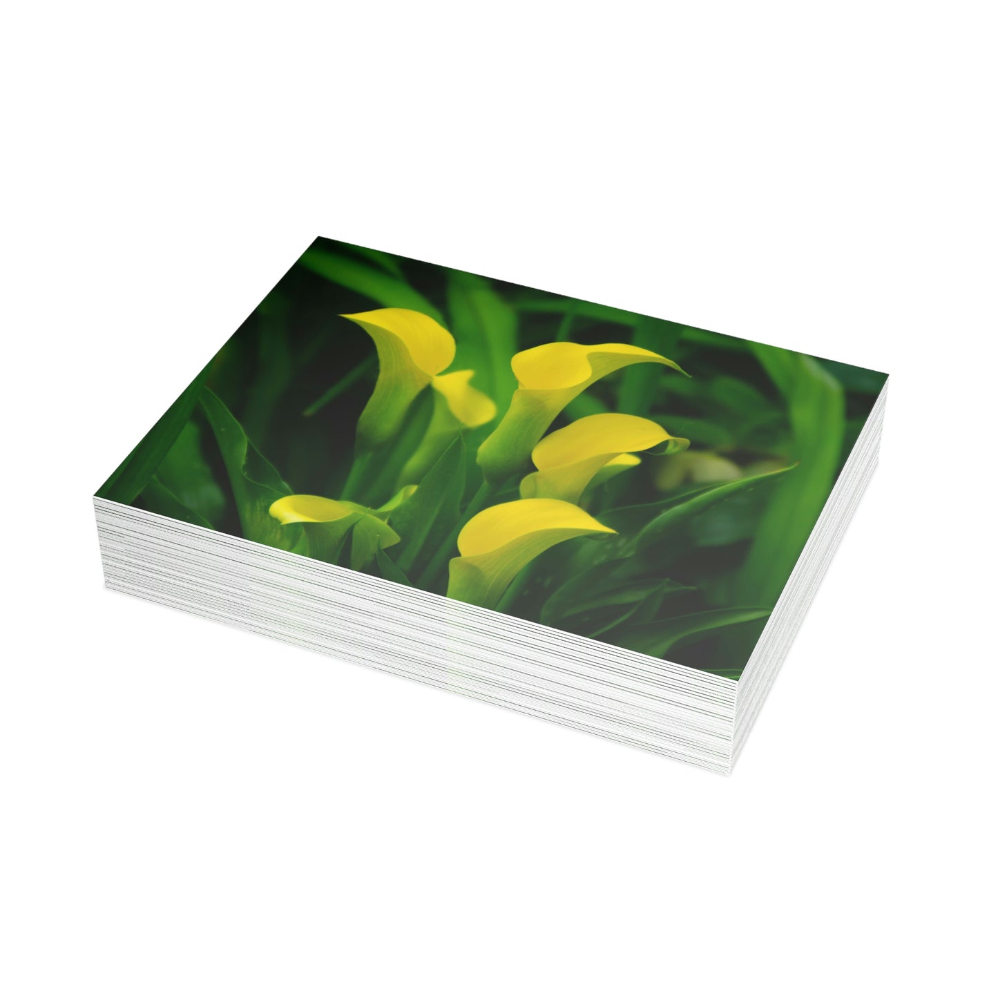 Flowers 33 Greeting Card Bundles (envelopes not included)