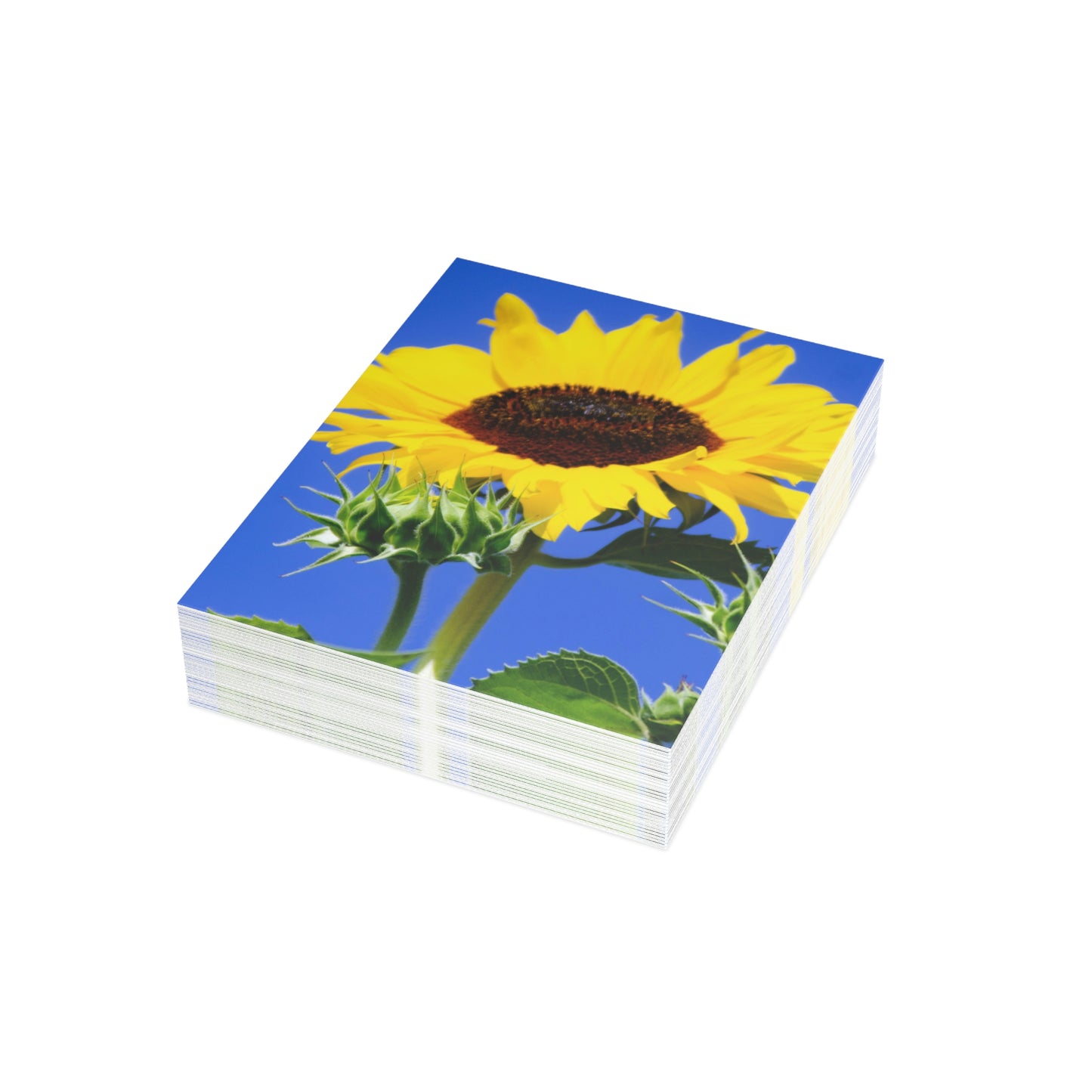 Flowers 02 Greeting Cards (1, 10, 30, and 50pcs)
