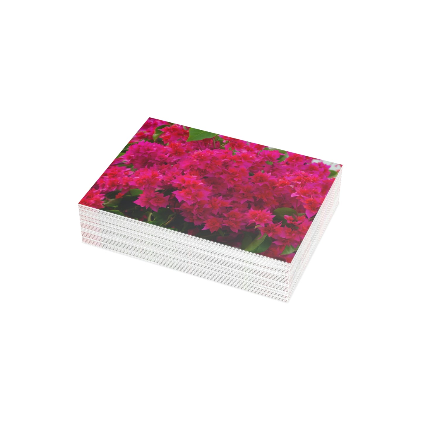 Flowers 28 Greeting Card Bundles (envelopes not included)