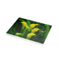 Flowers 33 Greeting Card Bundles (envelopes not included)