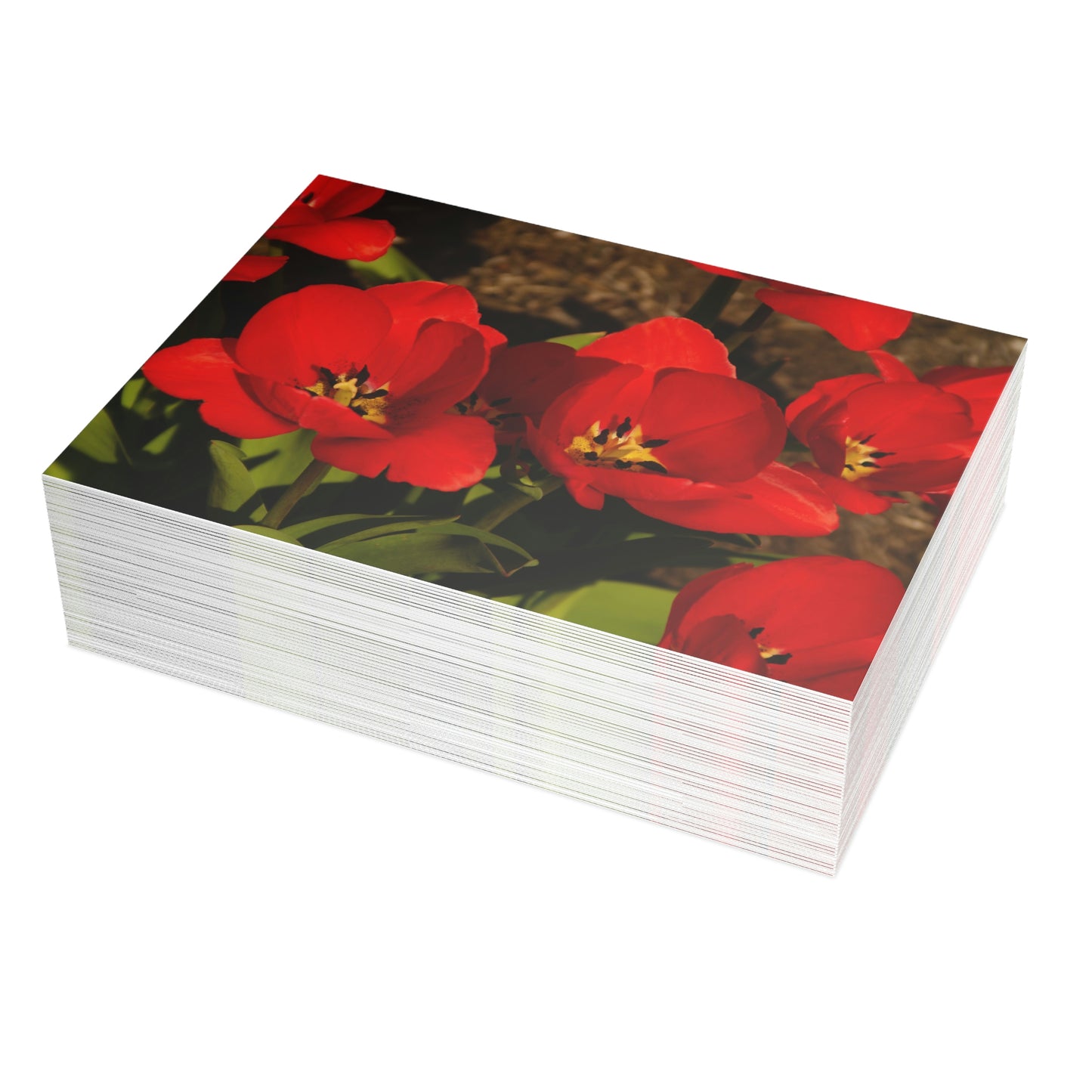 Flowers 05 Greeting Card Bundles (envelopes not included)