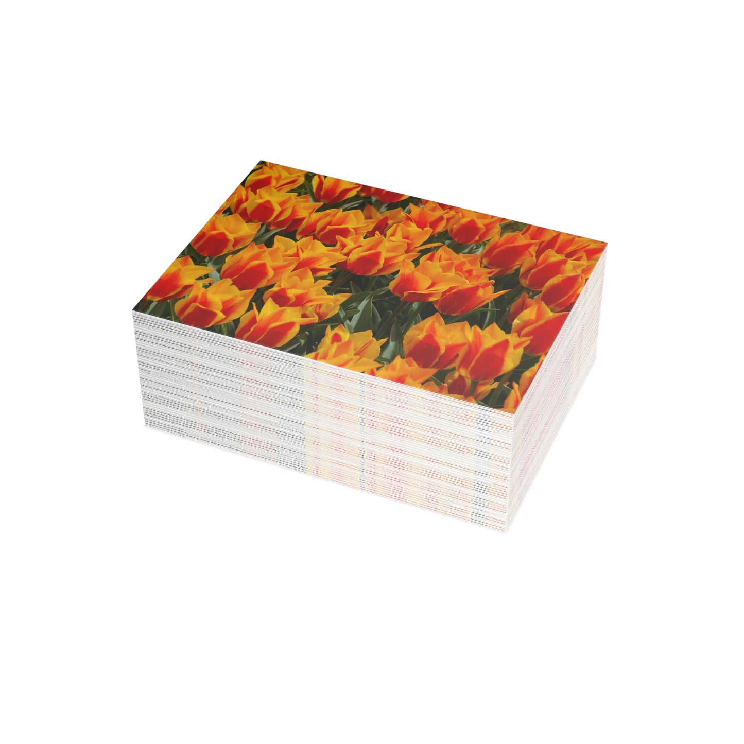 Flowers 19 Greeting Card Bundles (envelopes not included)