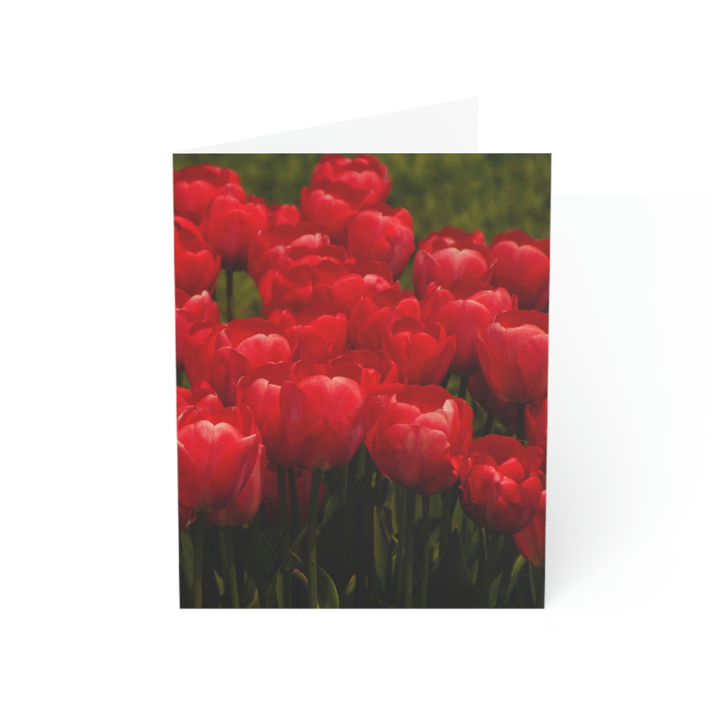 Flowers 22 Greeting Cards (1, 10, 30, and 50pcs)