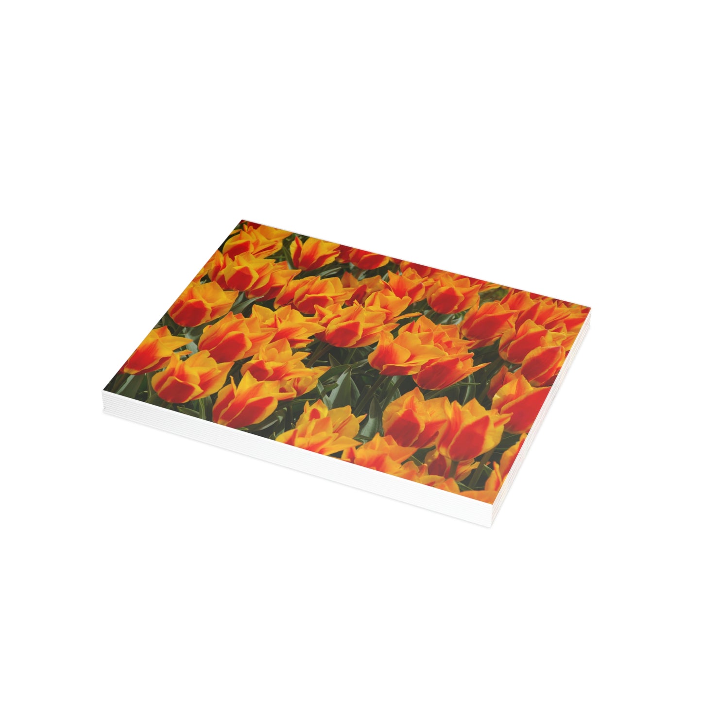 Flowers 19 Greeting Card Bundles (envelopes not included)