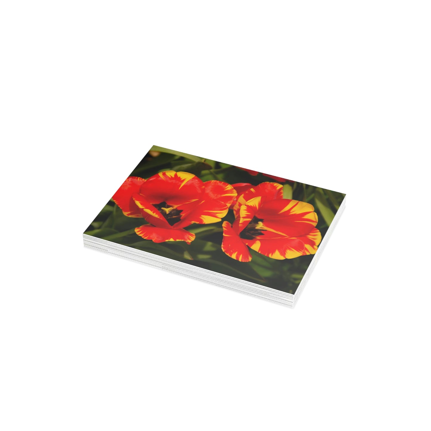 Flowers 12 Greeting Card Bundles (envelopes not included)